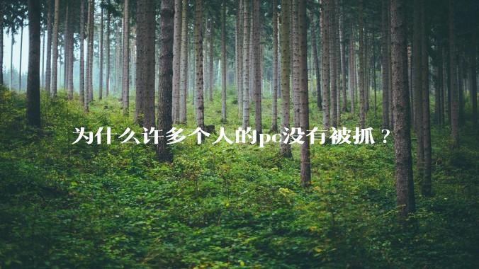 为什么许多个人的pc没有被抓?