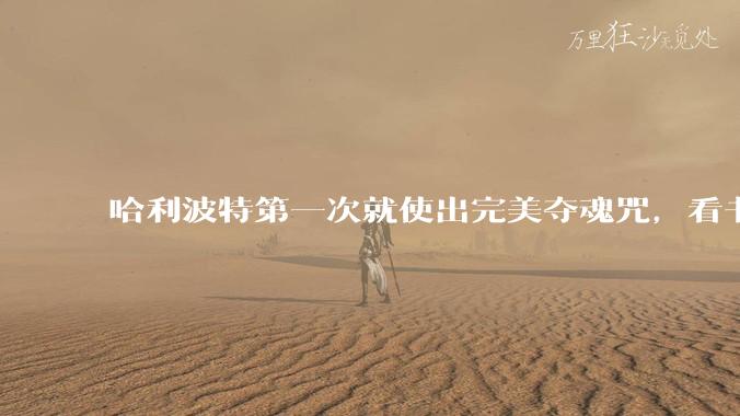 哈利波特第一次就使出完美夺魂咒，看书就能学会神锋无影，两次就可以使用钻心咒，他是否很有黑巫师的潜力？