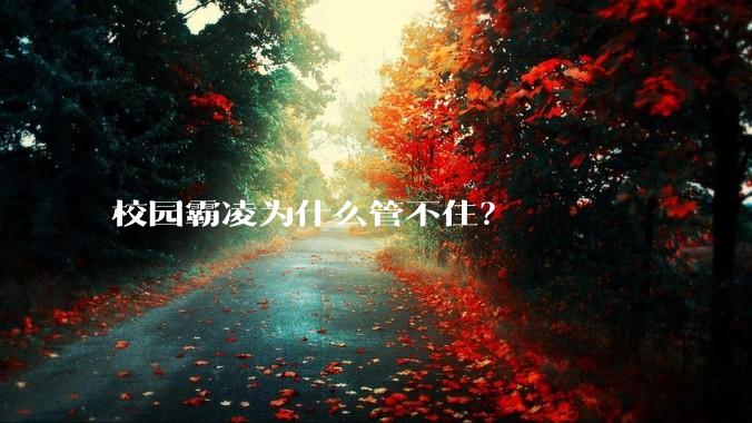 校园霸凌为什么管不住？