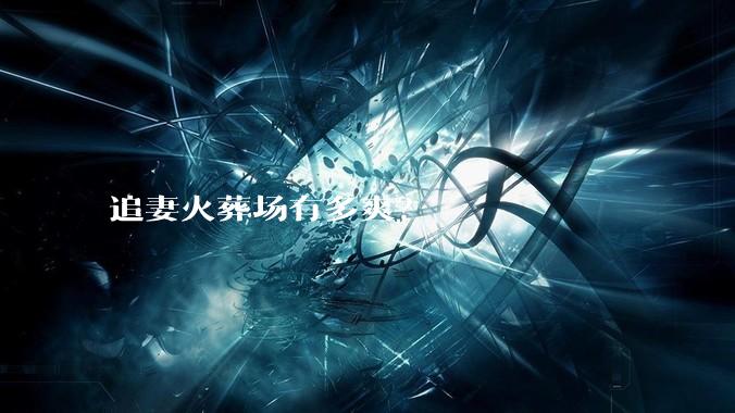 追妻火葬场有多爽？