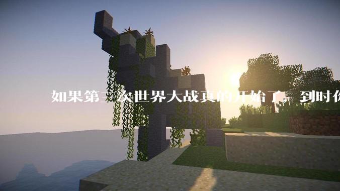 如果第三次世界大战真的开始了，到时你最想做的是什么？
